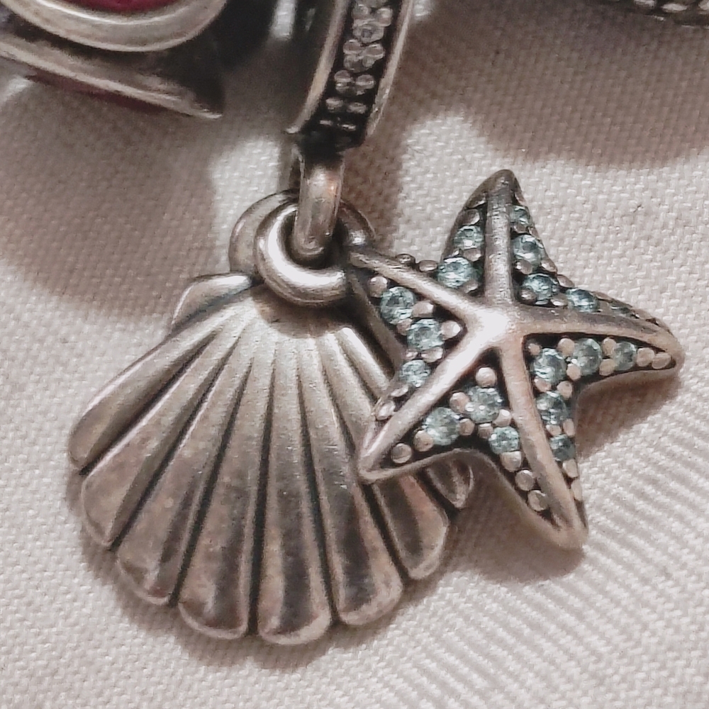 Pandora Charm Bracelet - Picture 10 of 15